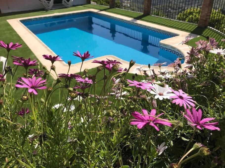 Villa En Frigiliana Con Piscina Y Jacuzzi 외부 사진